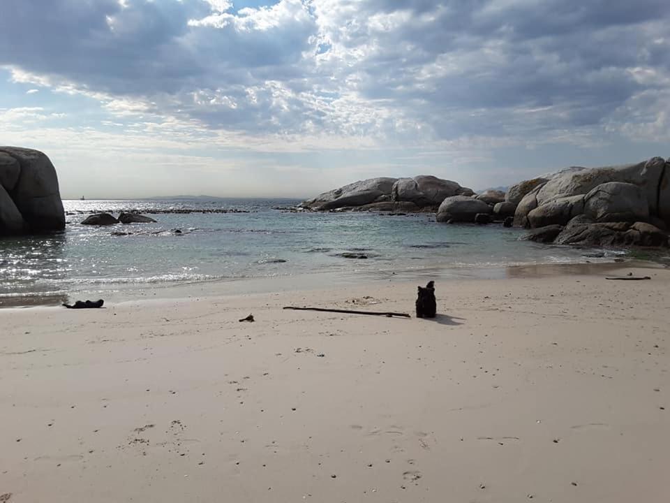 Porcupine Walk Daire Simonʼs Town Dış mekan fotoğraf