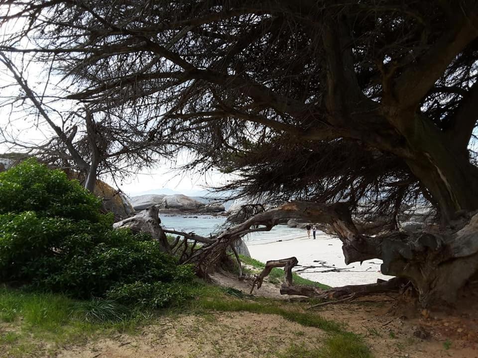 Porcupine Walk Daire Simonʼs Town Dış mekan fotoğraf