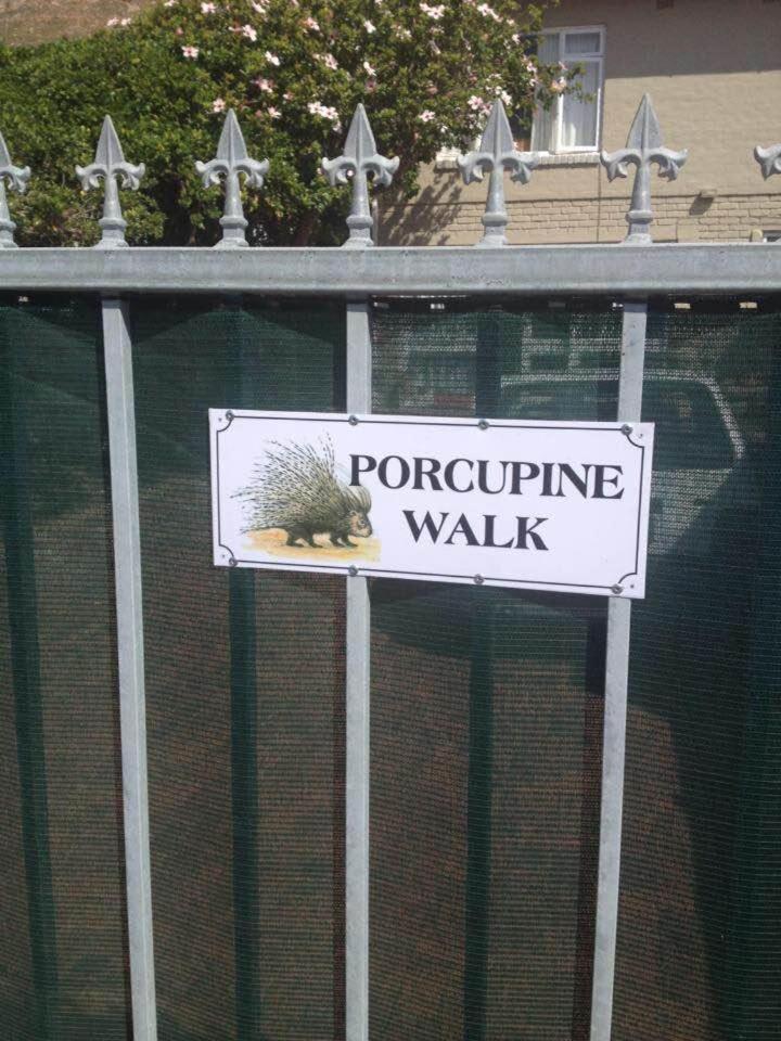 Porcupine Walk Daire Simonʼs Town Dış mekan fotoğraf