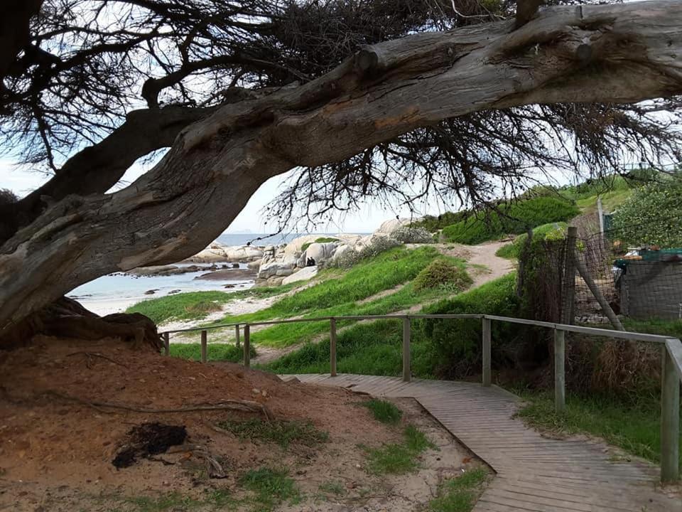 Porcupine Walk Daire Simonʼs Town Dış mekan fotoğraf